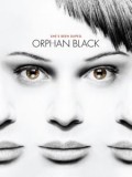 黑色孤儿第一季Orphan Black迅雷下载