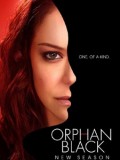 黑色孤儿第二季Orphan Black迅雷下载