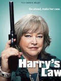 鞋店事务所第一二季Harry’s Law下载