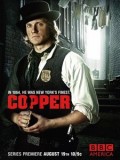 纽约警察故事第一季Copper迅雷下载