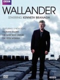 维兰德第二季Wallander下载