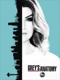 实习医生格蕾第十三季Grey’s Anatomy迅雷下载