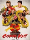 眼镜蛇第三季Cobra Kai迅雷下载